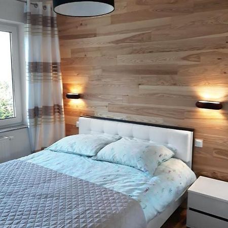Apartament Szary Wilk Świeradów-Zdrój エクステリア 写真