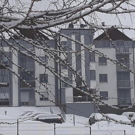 Apartament Szary Wilk Świeradów-Zdrój エクステリア 写真