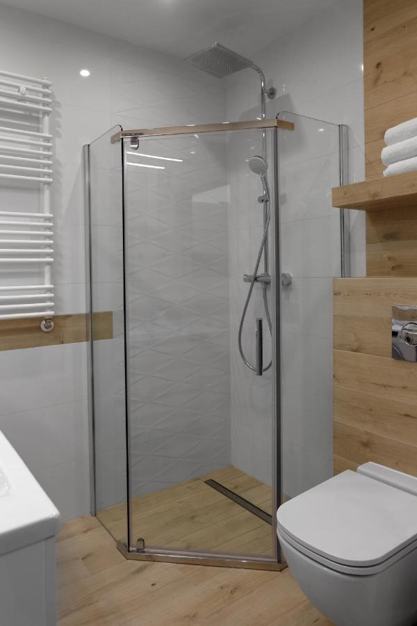 Apartament Szary Wilk Świeradów-Zdrój エクステリア 写真