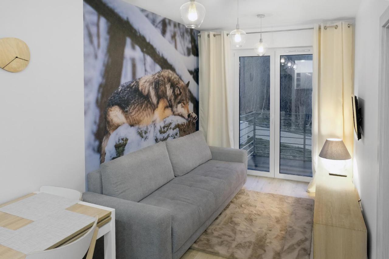 Apartament Szary Wilk Świeradów-Zdrój エクステリア 写真