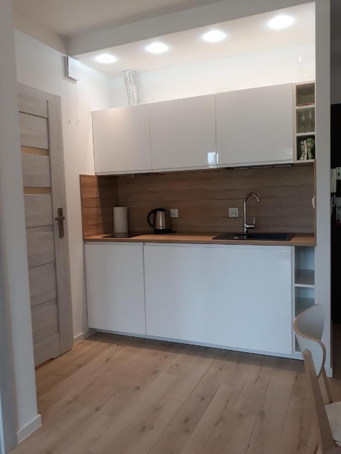 Apartament Szary Wilk Świeradów-Zdrój エクステリア 写真
