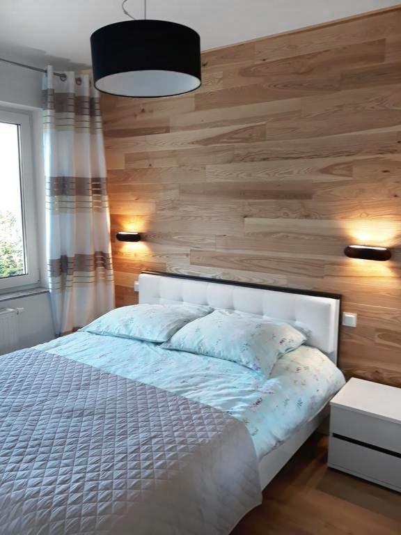 Apartament Szary Wilk Świeradów-Zdrój エクステリア 写真