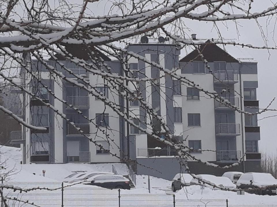 Apartament Szary Wilk Świeradów-Zdrój エクステリア 写真